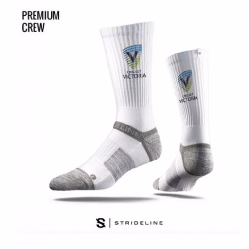 ISV PLAYING SOCKS